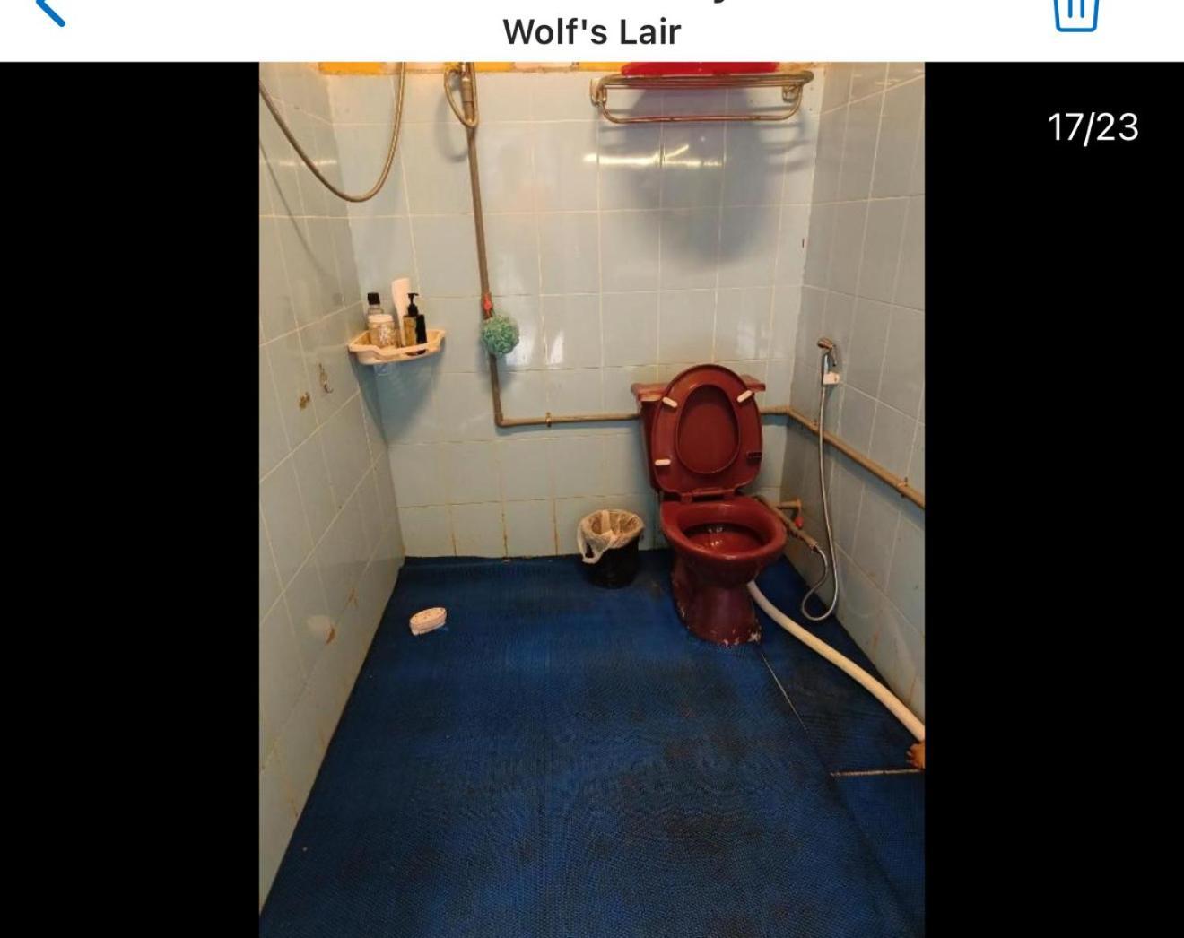 Wolf'S Lair Hotel Da Lat Buitenkant foto