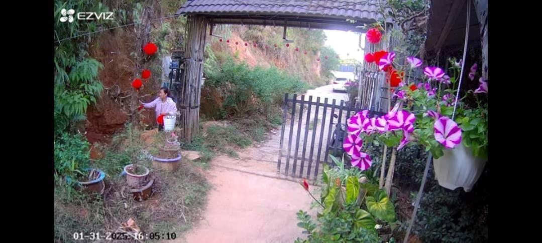 Wolf'S Lair Hotel Da Lat Buitenkant foto